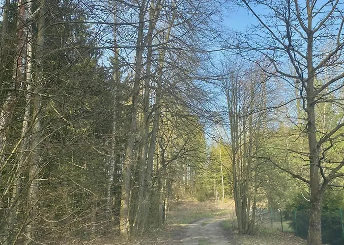 12 Mazury Pool-luksusowy Dom Na Mazurach Z Jacuzzi, Basenem I Sauna Na Wylacznosc Villa