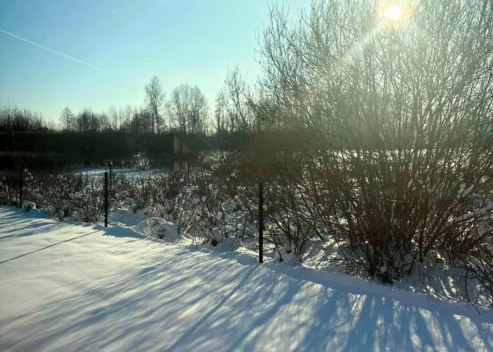 12 Mazury Pool-luksusowy Dom Na Mazurach Z Jacuzzi, Basenem I Sauna Na Wylacznosc